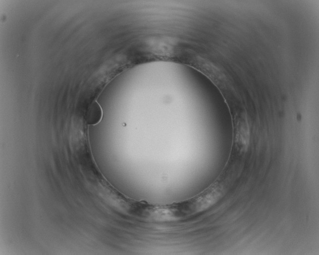 X0000062870518200601131444