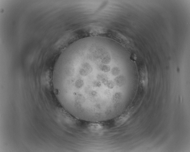 X0000062870519200601131444