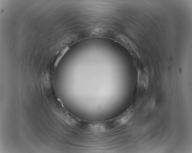 X0000062870520200601131444