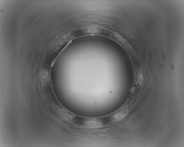 X0000062870521200601131444