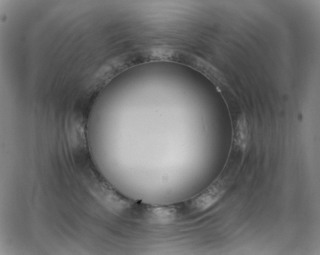 X0000062870522200601131444