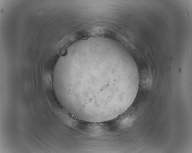 X0000062870523200601131444