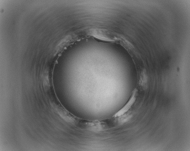 X0000062870524200601131444