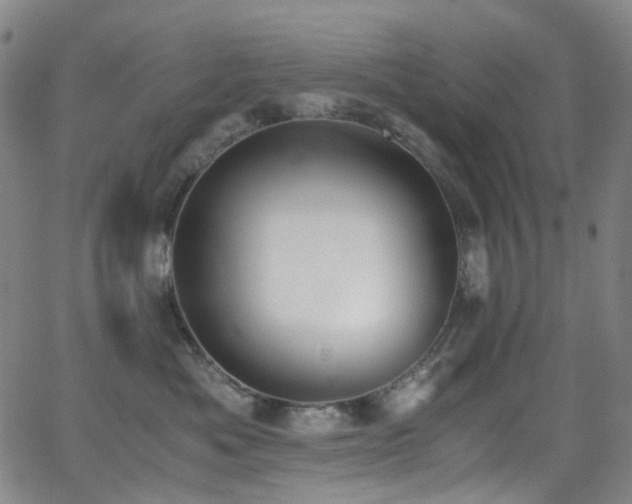 X0000062870525200601131444