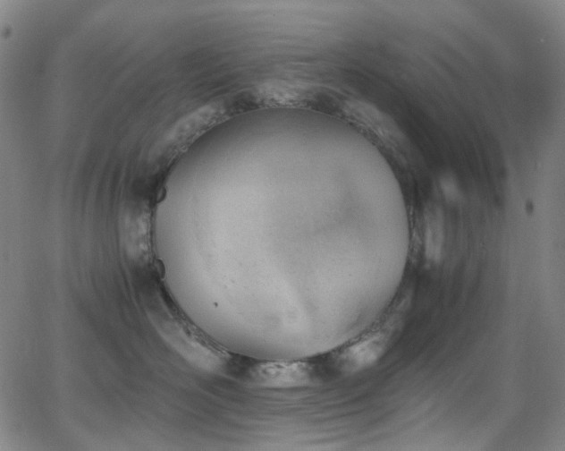 X0000062870526200601131444