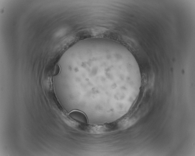 X0000062870527200601131444