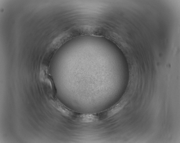 X0000062870528200601131444