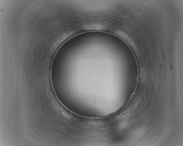 X0000062870529200601131444