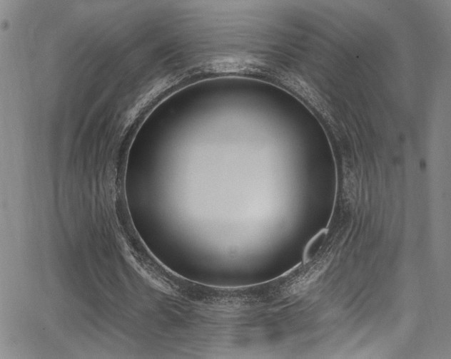 X0000062870530200601131444