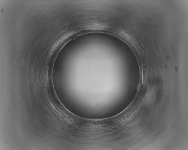 X0000062870531200601131444