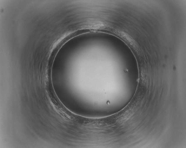 X0000062870532200601131444