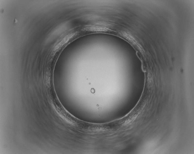 X0000062870533200601131444