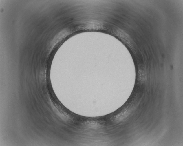 X0000062870534200601131444