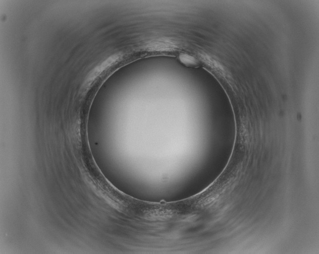 X0000062870535200601131444