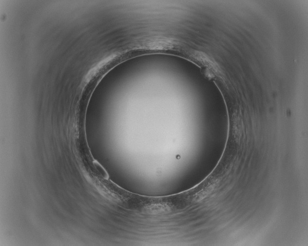 X0000062870536200601131444