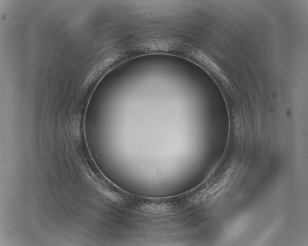 X0000062870537200601131444