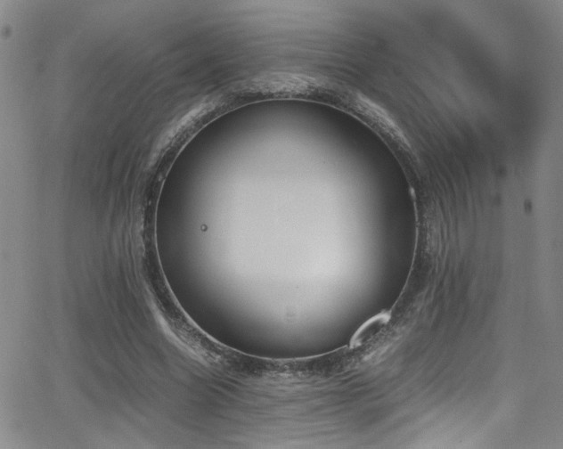 X0000062870538200601131444