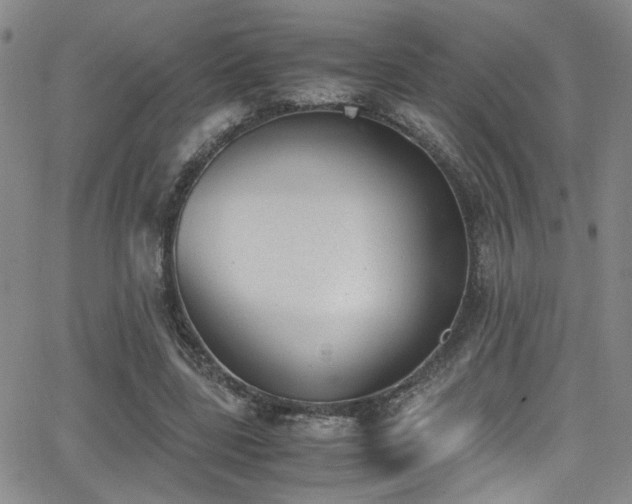 X0000062870539200601131444