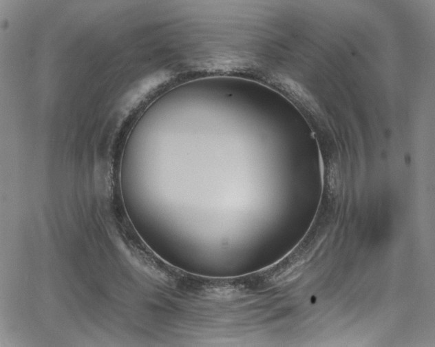 X0000062870540200601131444