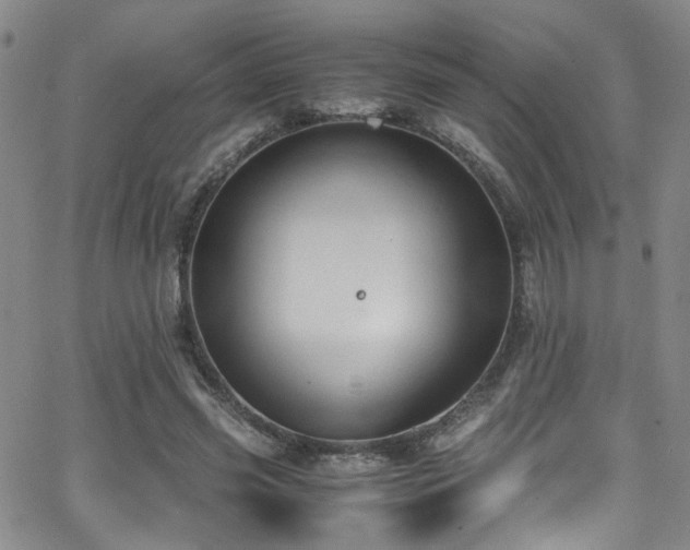 X0000062870541200601131444