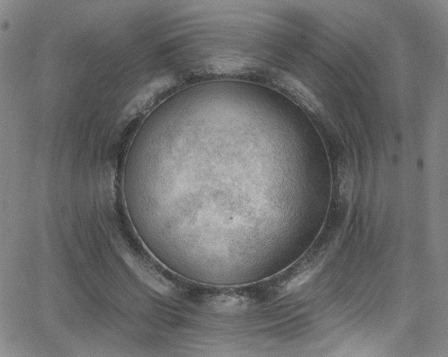 X0000062870542200601131444