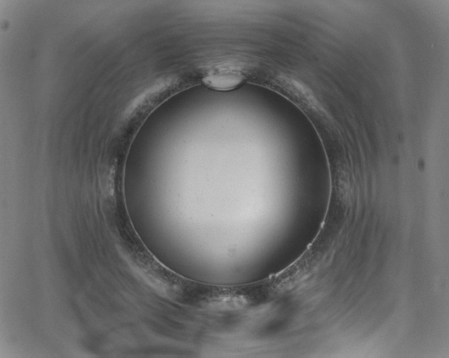 X0000062870543200601131444