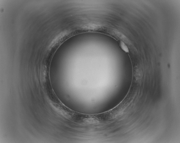 X0000062870544200601131444