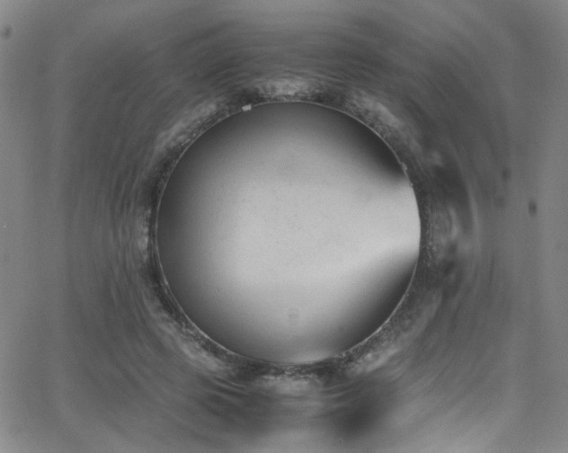 X0000062870545200601131444