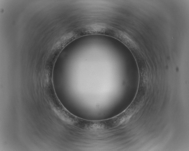 X0000062870546200601131444