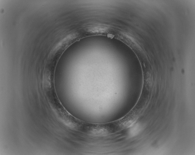 X0000062870547200601131444