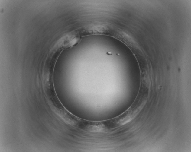 X0000062870548200601131444