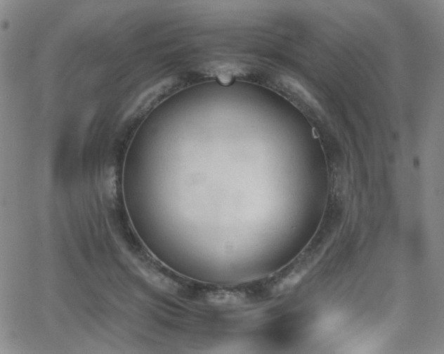 X0000062870549200601131444