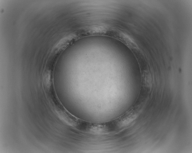 X0000062870550200601131444