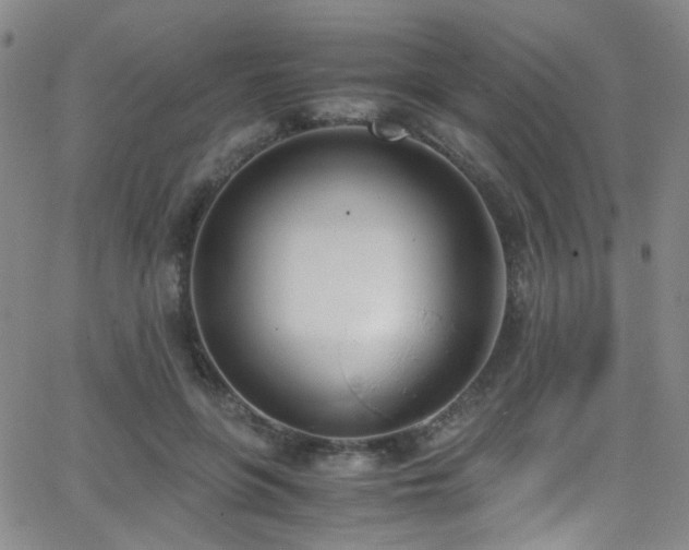 X0000062870551200601131444