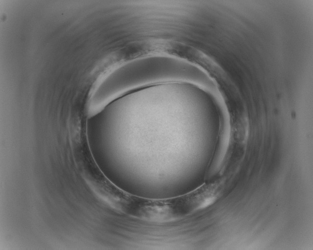 X0000062870552200601131444