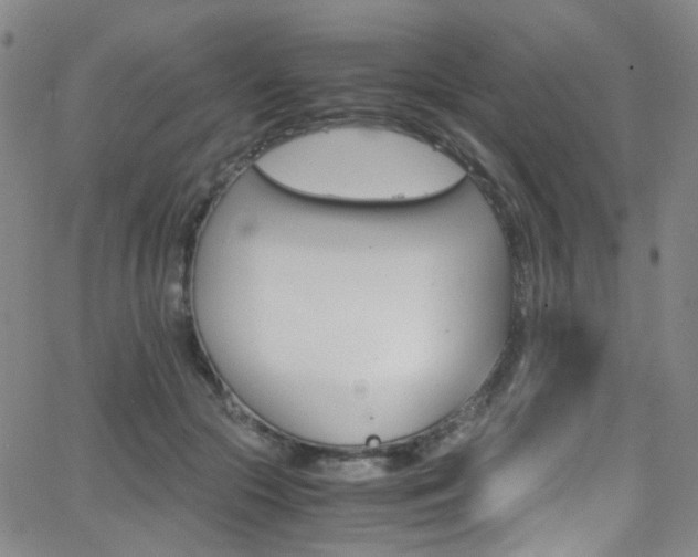 X0000062870553200601131444