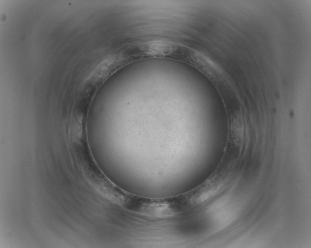 X0000062870554200601131444