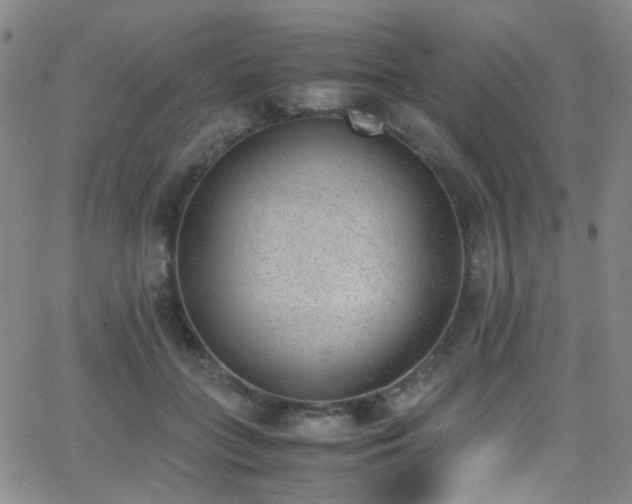 X0000062870555200601131444