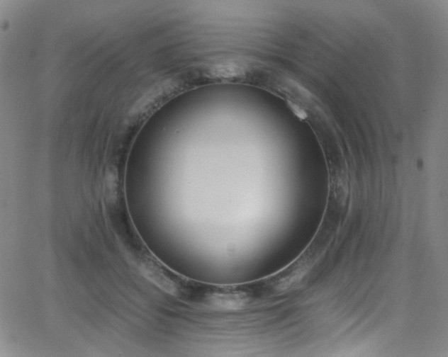 X0000062870556200601131444