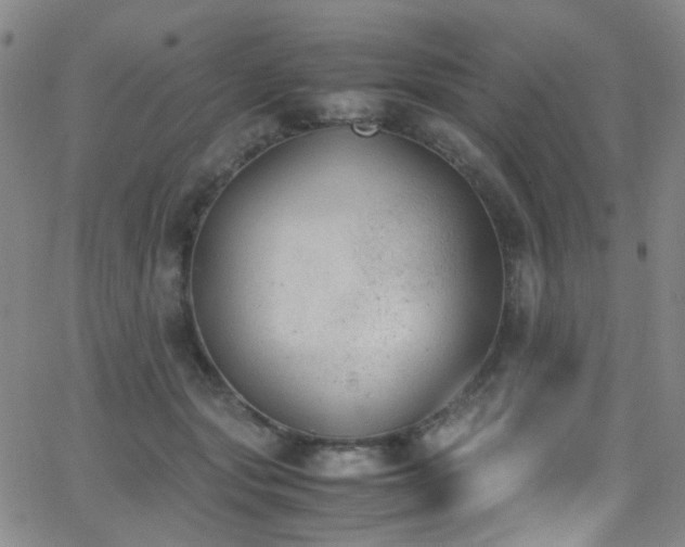 X0000062870557200601131444