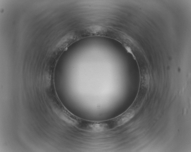 X0000062870558200601131444