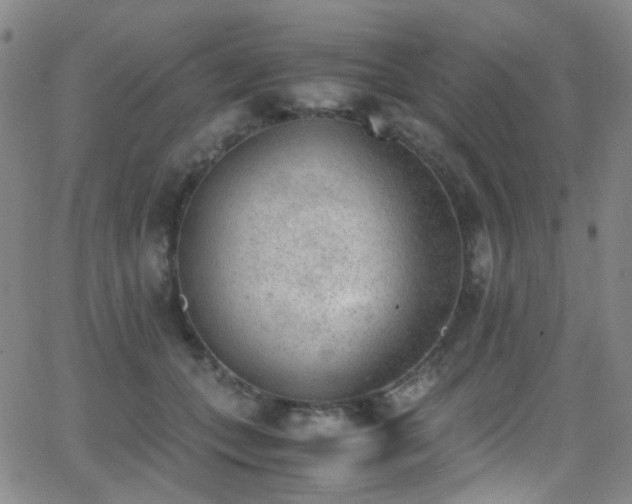 X0000062870559200601131444