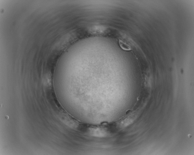 X0000062870561200601131444