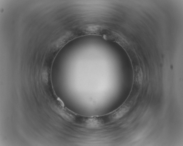 X0000062870562200601131444