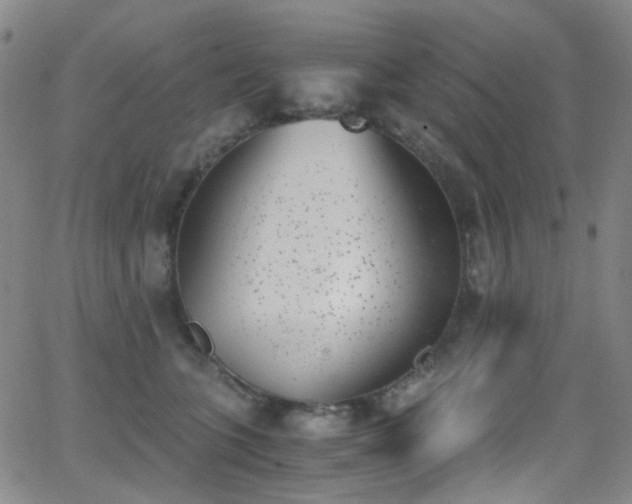 X0000062870563200601131444