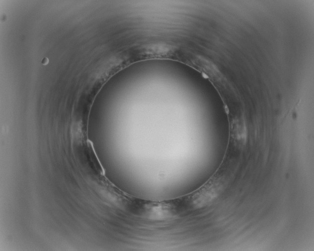 X0000062870564200601131444