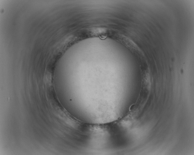 X0000062870565200601131444