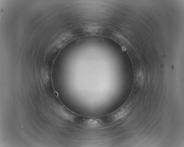 X0000062870566200601131444