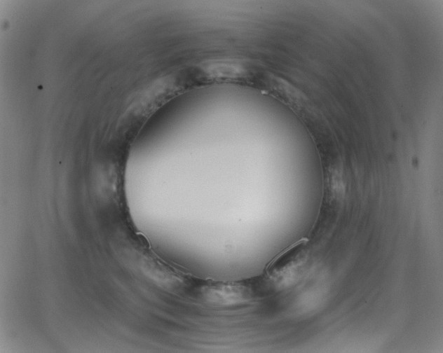 X0000062870567200601131444