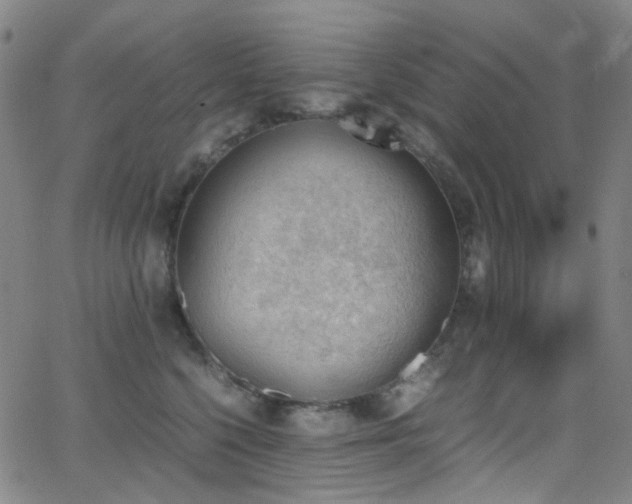 X0000062870568200601131444